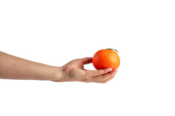 Orange fruit in hand isolated on transparent background.