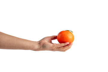 Orange fruit in hand isolated on transparent background.