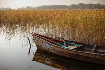 old wooden boat on the lake in autumn, yellowed grass, sunny autumn days on the lake
