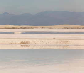 salt marsh in the desert, Mexico