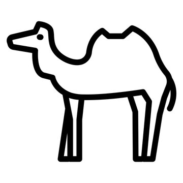 camel animal icon