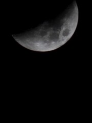 Naklejka premium moon in the night