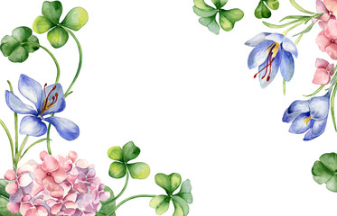 Border with pink hydrangea and clover watercolor illustration isolated on white. Painted crocus...