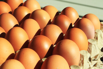 Chicken eggs neatly arranged on egg box.  with sunlight in the morning. as background and wallpaper