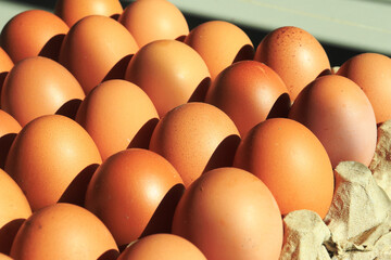 Chicken eggs neatly arranged on egg box.  with sunlight in the morning. as background and wallpaper