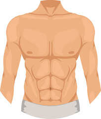 Male chest. Man upper body color icon - obrazy, fototapety, plakaty