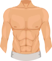 Zelfklevend Fotobehang Male chest. Man upper body color icon © ONYXprj