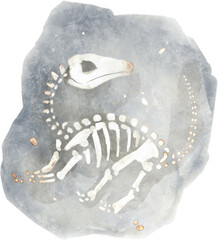 Apatosaurus fossil in rock . Watercolor painting style . © stockdevil
