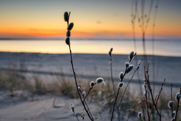 A beautiful sunset on the beach of the Sobieszewo Island at the Baltic Sea at spring. Poland - 763134937