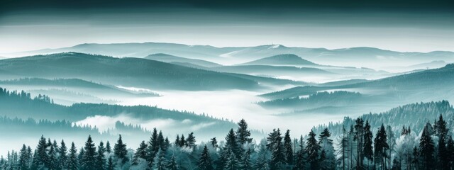 Amazing mystical rising fog mountains sky forest trees landscape view in black forest ( Schwarzwald ) winter, Germany panorama panoramic banner - mystical snow foggy mood - obrazy, fototapety, plakaty