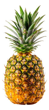 Whole pineapple with green crown on transparent background - stock png.