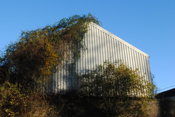 Modern Metal Clad Industrial Building Overgrown with Climbing Plants seen against Blue Sky 