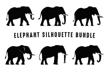 Elephant Silhouette black clipart Bundle, African Elephants Silhouettes Vector Set - obrazy, fototapety, plakaty