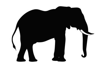 Elephant Silhouette isolated on a white background, African elephant Vector black Clipart