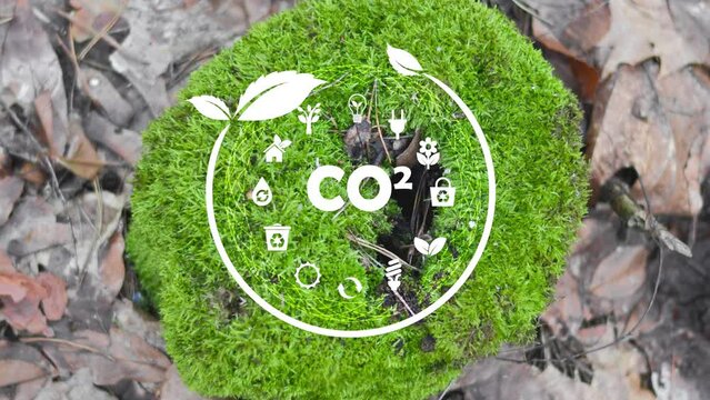 CO2 reduce conceptNet zero emissions,environment of ESG, co2, company circular and clean zero. Technologies Environment, Organization Sustainable development . 4K video