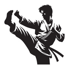 Silhouette of martial art. Kungfu, karate, taekwondo	