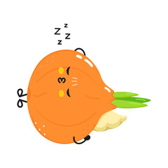 Onion sleeping character. Vector hand drawn cartoon kawaii character illustration icon. Isolated on white background. Onion sleep character concept