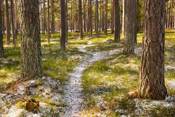 Säby burial ground is by far the largest Iron Age burial ground in the Stockholm archipelago