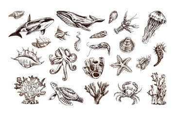 Hand-drawn undersea Animals, creatures set. Vector outline style illustration. Vintage sketch engraving illustration isolated on white background.