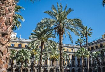Plaza Real - Royal Square in Barcelona, Spain