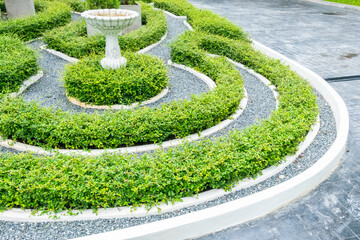 Classical English style garden with Green bushes circular labyrinth in spring garden,English...