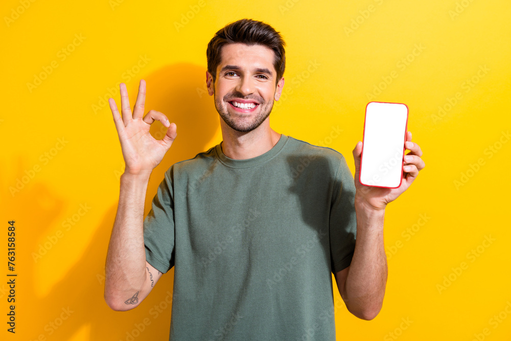 Poster portrait of optimistic guy wear stylish t-shirt presenting smartphone screen empty space show okey i