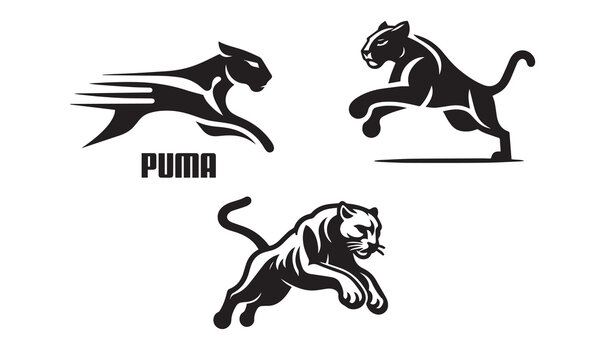 3 professional logos of puma | set of pumas | illustration of puma