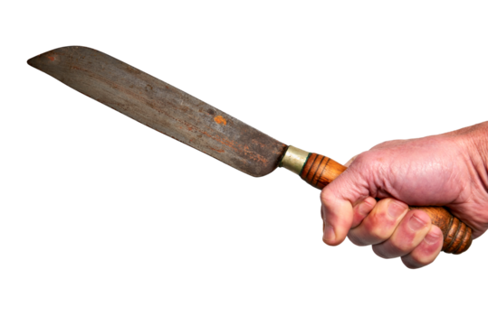 Hand holding a rusty butcher knife