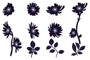 Set of flowers, icon silhouettes, shapes. 
Hand drawn wild flower plants isolated on white background