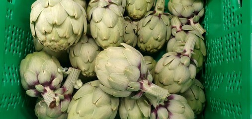 Green artichokes in a box close-up. Artichoke close-up. Healthy vegetables. Healthy diet. vitamins. Spanish artichoke.