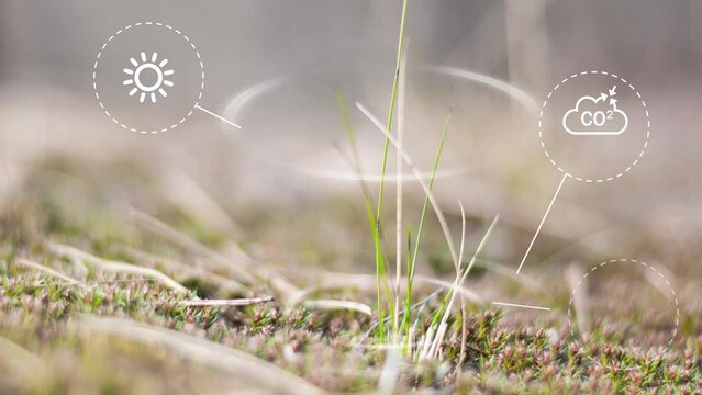 Environmental technology concept , green energy innovations, green technology, Green nature background Reduce CO2 emission concept. Digital icons. 4K corporate footage