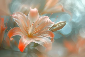 Foto auf Acrylglas Delicate beautiful gorgeous gerbera flower close-up in dew drops, rain, on blurred background in pastel colors. Wallpaper. Macro. © alisluch