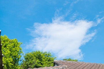 Roof of a house with tree against the blue sky,summer time concept.