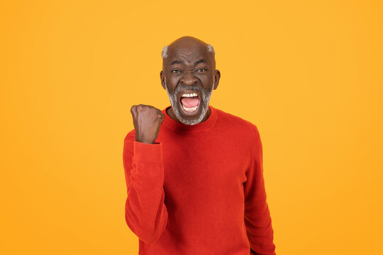 Animated senior black man in a red sweater, victoriously raising his fist with a wide-open mouth