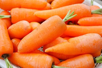 収穫したニンジン20231201