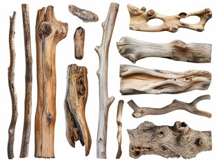 Assorted shapes and sizes of driftwood elements displayed on a white background, ideal for natural design concepts. - obrazy, fototapety, plakaty