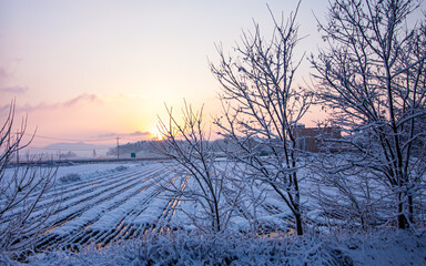 landscape view of  sunrise and snow covered trees in Gwangju, South Korea. 