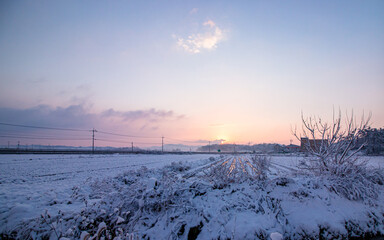 landscape view of  sunrise and snow covered trees in Gwangju, South Korea. 