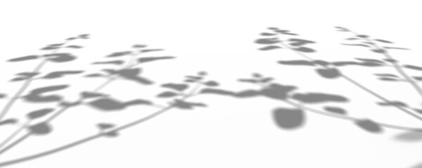 3D Render Plant And Tree Shadow