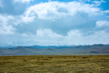 Ganjia Secret Land, Gannan Tibetan Autonomous Prefecture, Gansu Province-the grassland under the snow-capped mountains