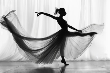 ballet dancer in silhouette, this time with a flowing skirt, mid-movement which accentuates the...