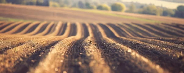 Keuken spatwand met foto Agricultural landscape furrow prepared for planting © Gethuk_Studio