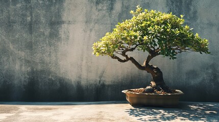 A solo Bonsai tree surrounded by blank space AI generated illustration - obrazy, fototapety, plakaty