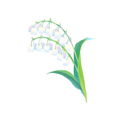 鈴蘭のイラスト