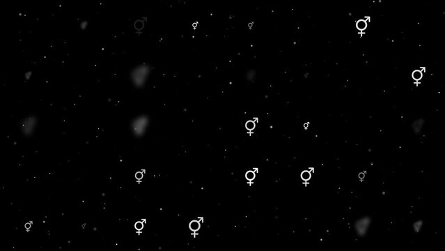 Template animation of evenly spaced bigender symbols of different sizes and opacity. Animation of transparency and size. Seamless looped 4k animation on black background with stars