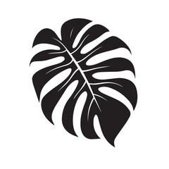 Summer foliage,
Palm leaves,
Banana tree leaves,
Tropical foliage,
Exotic leaves,
Greenery,
Palm fronds,