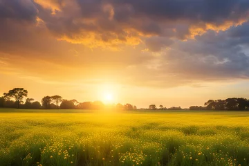 Tuinposter sunset field landscape of yellow flowers  © RORON