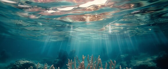 Fototapeta na wymiar Underwater sea picture with colorful marine flora.