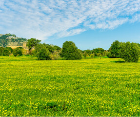 amazing view of green and yellow field and mountains with blue cloudy sky on background, american spring landscape