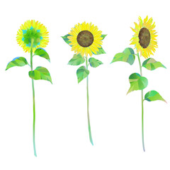 ひまわりのイラスト